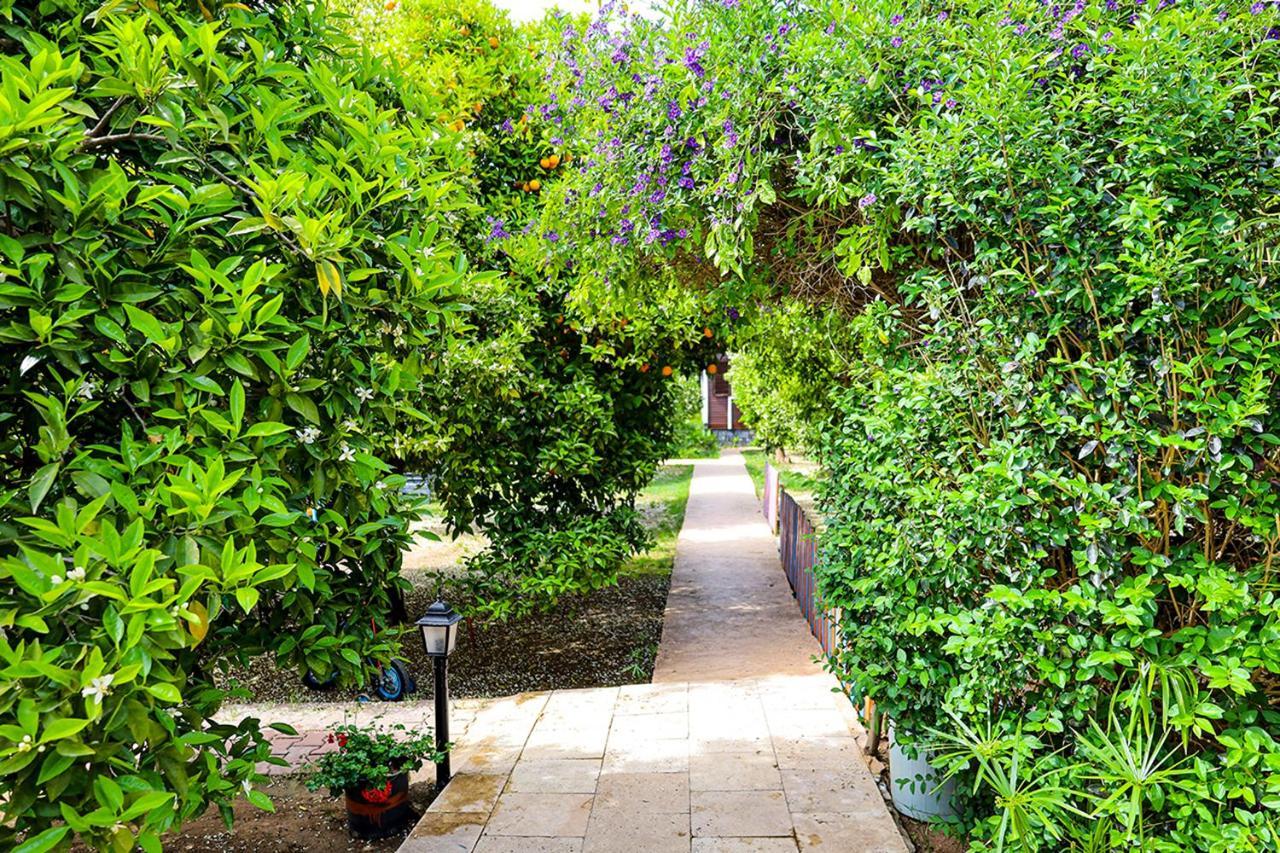 Çıralı Three Islands Bungalow מראה חיצוני תמונה